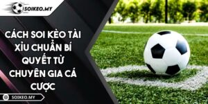 Cách Soi Kèo Tài Xỉu Chuẩn Bí Quyết Từ Chuyên Gia Cá Cược