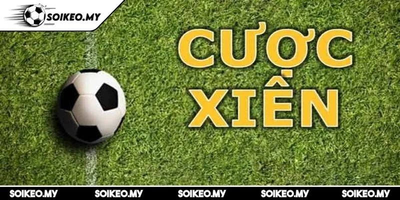 Cược Xiên Trong Bóng Đá Là Gì Đầy Đủ Từ A-Z Cho Người Mới 2 Cách tính cược xiên chính xác là gì và các lưu ý khi vào tiền