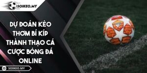 Dự Đoán Kèo Thơm Bí Kíp Thành Thạo Cá Cược Bóng Đá Online