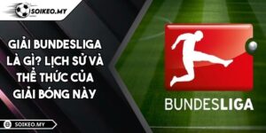 Giải Bundesliga Là Gì? Lịch Sử Và Thể Thức Của Giải Bóng Này