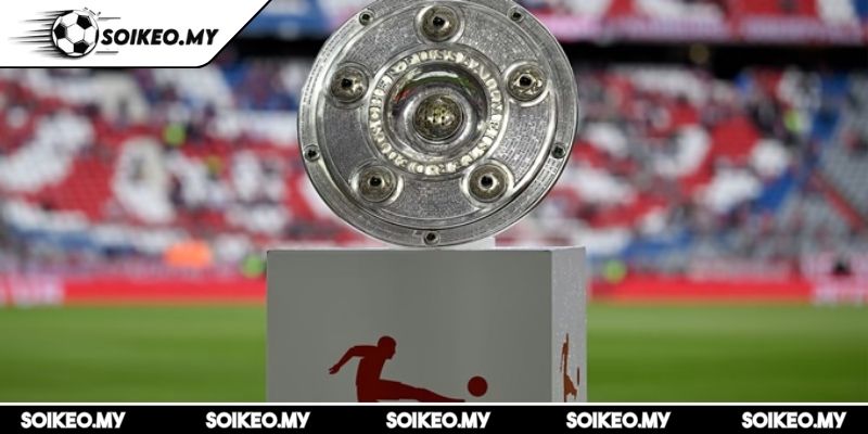 Giải Bundesliga Là Gì? Lịch Sử Và Thể Thức Của Giải Bóng Này 1 Giải Bundesliga là gì?