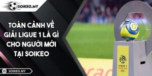 Toàn Cảnh Về Giải Ligue 1 Là Gì Cho Người Mới Tại Soikeo