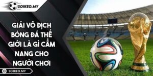 Giải Vô Địch Bóng Đá Thế Giới Là Gì Cẩm Nang Cho Người Chơi