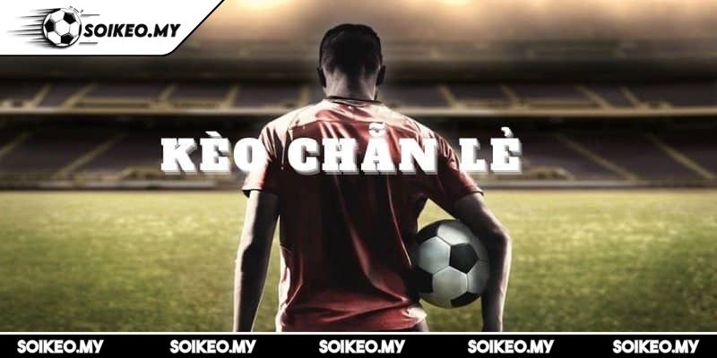 Kèo Chẵn Lẻ Thấu Hiểu Và Thắng Lớn Trong Cá Cược Bóng Đá 2 Khám phá các loại hình đẳng cấp trải nghiệm