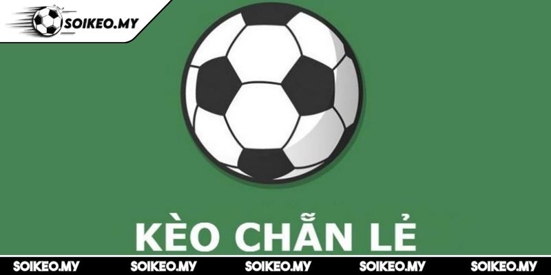 Kèo Chẵn Lẻ Thấu Hiểu Và Thắng Lớn Trong Cá Cược Bóng Đá 1 Quy tắc của kèo chẵn lẻ cần hiểu rõ