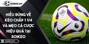 Hiểu Đúng Về Kèo Chấp 1 1/4 Và Mẹo Cá Cược Hiệu Quả Tại Soikeo