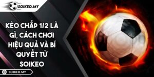 Kèo Chấp 1/2 Là Gì, Cách Chơi Hiệu Quả Và Bí Quyết Từ Soikeo