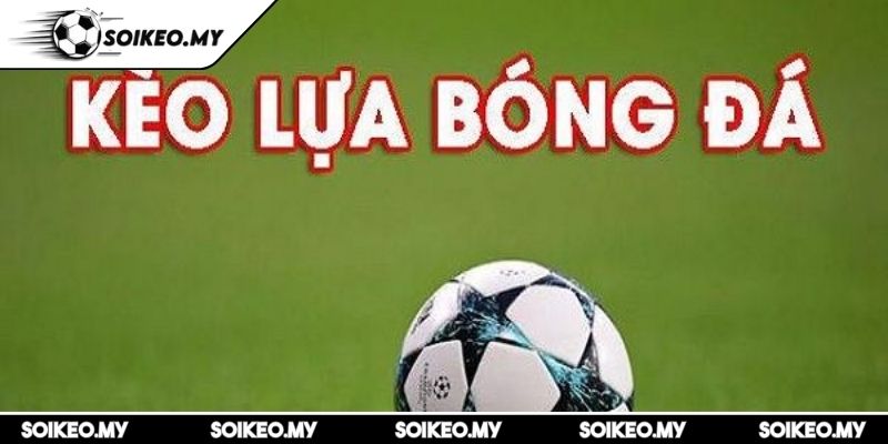 Kèo Lựa Với Bí Kíp Chọn Thông Minh Cho Người Mới Bắt Đầu 2 Chiến lược dựa trên sự thu thập cùng phân tích