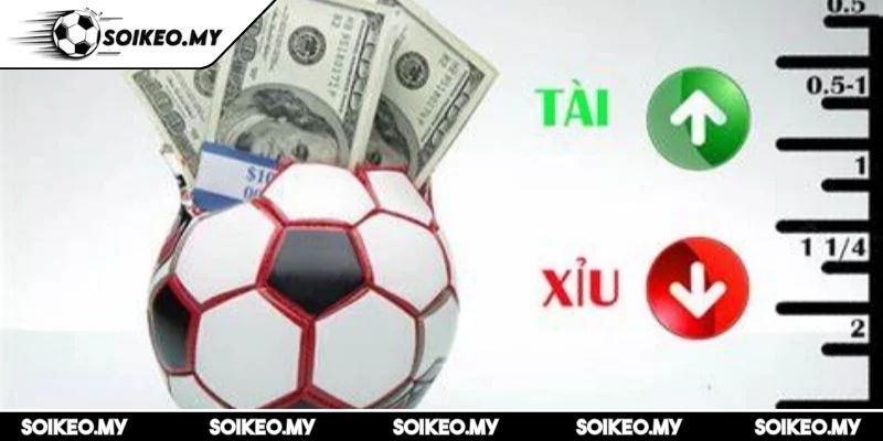 Kèo Tài Xỉu 3.25 Trái Và Những Điều Cần Biết Khi Cá Cược 1 Kèo tài xỉu 3.25 trái là gì và cách hoạt động của kèo này