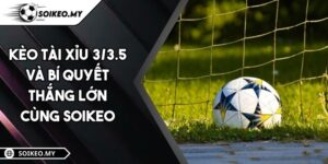 Kèo tài xỉu 3/3.5 Và Bí quyết thắng lớn cùng Soikeo
