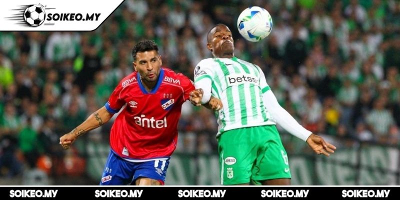 Soi Kèo Nacional Montevideo Vs Atletico Nacional (05:00 29/05, Copa Libertadores) 2 Kèo châu Á trận Nacional Montevideo vs Atletico Nacional (05:00 29/05)