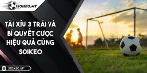 Tài Xỉu 3 Trái Và Bí Quyết Cược Hiệu Quả Cùng Soikeo