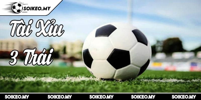 Tài Xỉu 3 Trái Và Bí Quyết Cược Hiệu Quả Cùng Soikeo 1 Hiểu đúng bản chất tài xỉu 3 trái để bắt kèo thông minh