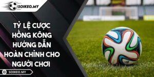 Tỷ Lệ Cược Hồng Kông Hướng Dẫn Hoàn Chỉnh Cho Người Chơi