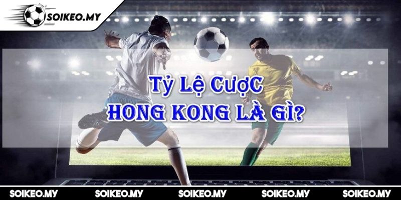 Tỷ Lệ Cược Hồng Kông Hướng Dẫn Hoàn Chỉnh Cho Người Chơi 1 Bắt đầu từ khái niệm, đặc điểm tỷ lệ cược hồng kông