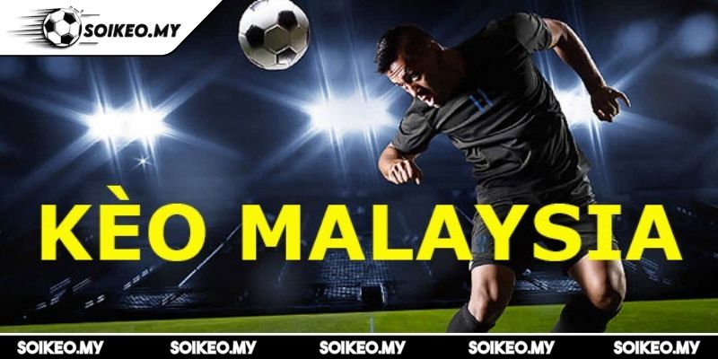Tỷ Lệ Odds Là Gì Hướng Dẫn Chuyên Sâu Trong Cá Cược 2 Tỷ lệ cược Malay (MY Odds)