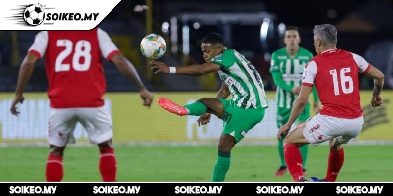 Soi Kèo Independiente Santa Fe Vs Atletico Nacional (08:20 13/06, VĐQG Colombia) 3 Đội hình dự kiến Independiente Santa Fe vs Atletico Nacional (08:20 13/06)