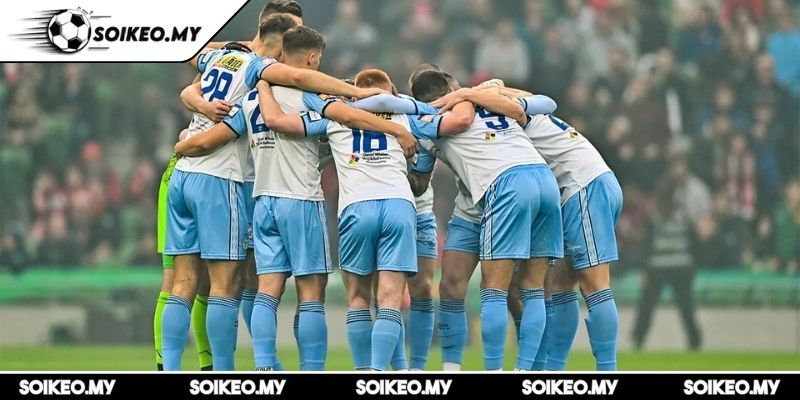 Phong độ Shelbourne