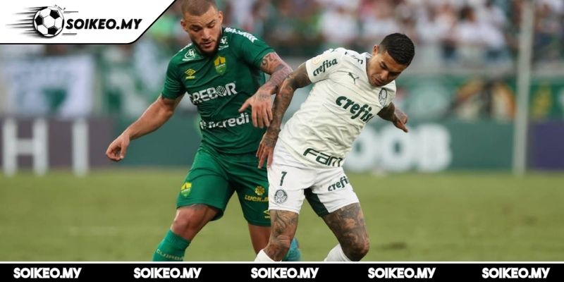 Soi Kèo Cuiaba Vs Volta Redonda (07:30 05/08, Serie B) 3 Dự đoán kết quả trận Cuiaba vs Volta Redonda (07:30 05/08, Serie B)