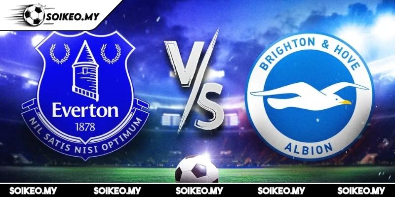 Soi Kèo Everton Vs Brighton (20:00 24/08, Premier League) 3 Dự đoán kết quả trận Everton vs Brighton (20:00 24/08, Premier League)